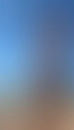 Would you like to see them in all their glory?