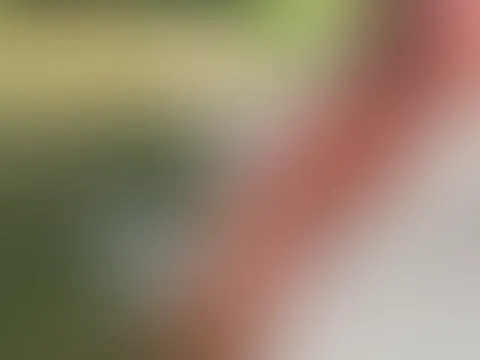 🔥 Hot