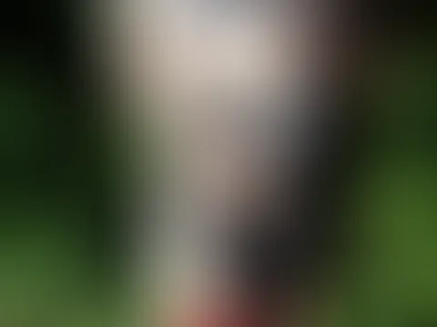 Ölmassage im Sonnenschein 18+