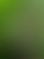 Lust auf mehr