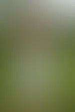 Draußen kann man so viel Spaß haben! 😈