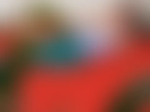 Vom Erotik Roman geil geworden
