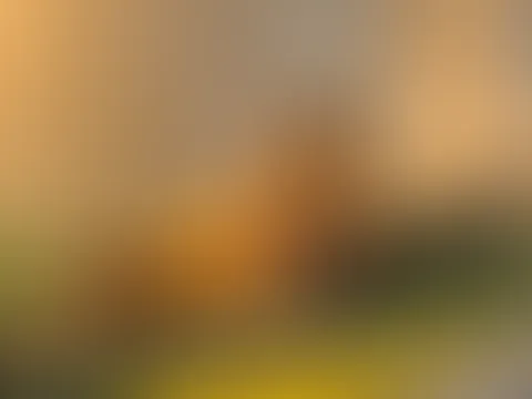 Verführerische Blicke aus dem Bett 😉🥰🙈