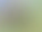 Hallo, Wie geht es dir?