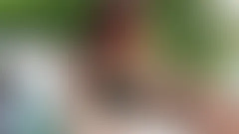 Letzte Sonnentage