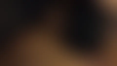 S****t