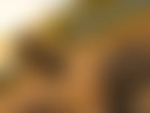 Lust auf ein paar Geheimnisse ?🤫😮💨