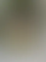 Schaust du mir etwa gerade unters Kleid?