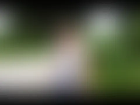 Abgep**st vom Autodach
