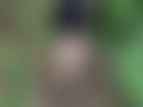 ich gehe spazieren, was sehe ich denn da...