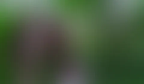 Ein kleiner Vorgeschmack, willst du wissen wie es im Wald weiter gegangen ist?