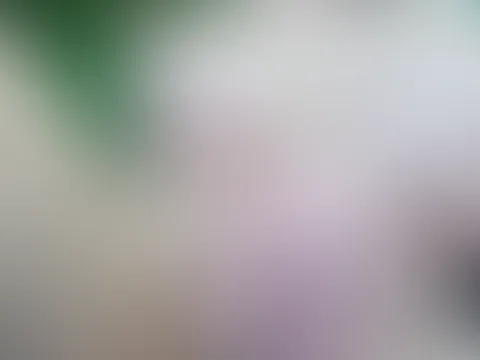 Sonntag ist für P***ys ;)