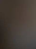 đ