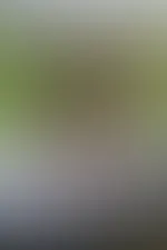 Ich wünsche dir einen schönen Abend 💋