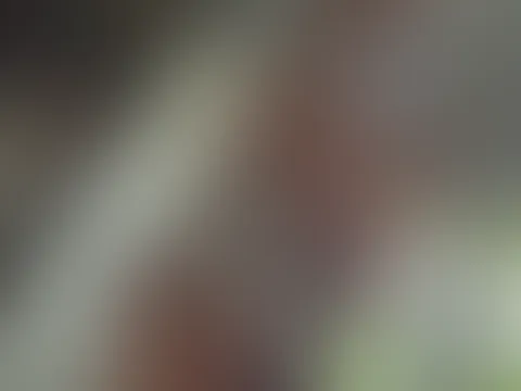 Teen reitet wie ein Profi 👅
