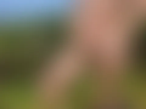 🤠