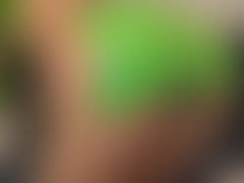 🙈🙈