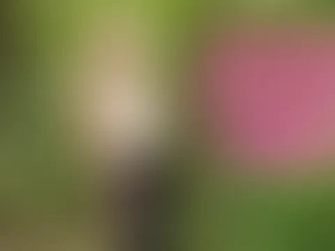 OUTDOOR!! Hat mich der Fremde im Wald einfach geschwängert?