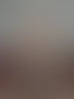 đ Feed-Edition đ