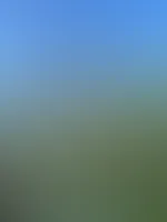 Im Sommer öfters live S*x in der Natur
