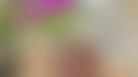 Kleiner Urlaub