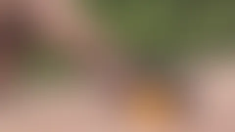 Part 2