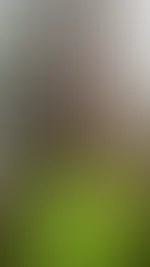 Exklusiv für meine Feed Abonnenten