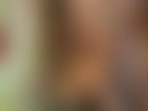 🌹🌹