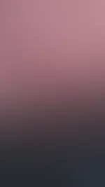P***y 💦