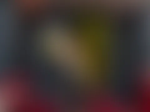 Micky im Pornokino
