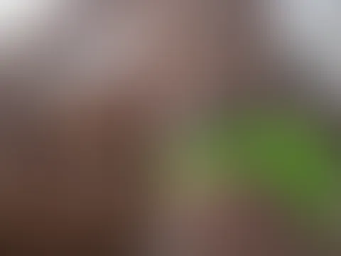 Auf dem Balkon gefingert