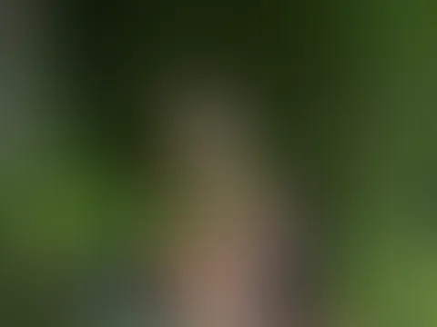 Fühlt sich irgendwie an wie Unterricht im grünen Klasssenzimmer 😂☘️🌲