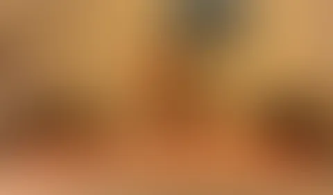 Heiße BodytoBody Massage