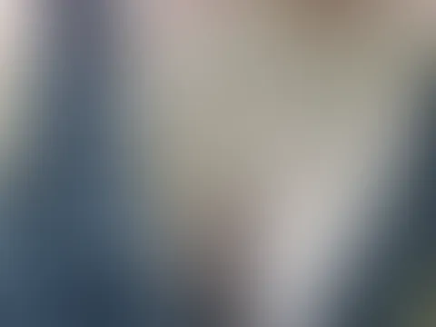 Einen schönen Tag im Wald verbracht