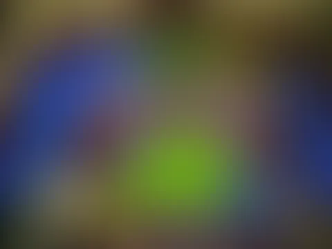 Ich wünsche euch einen guten Rutsch ins neue Jahr 🎆Lasst es leuchten und krachen 🎇🎉🍀