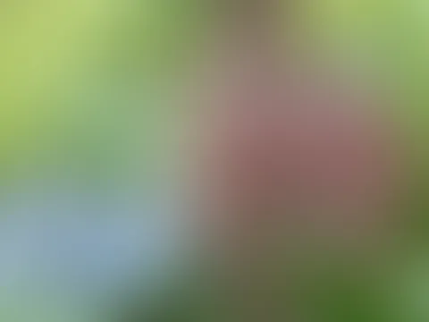 Sonntag genießen 🥰