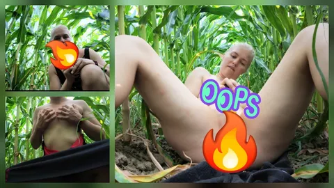 Fun in the maize field