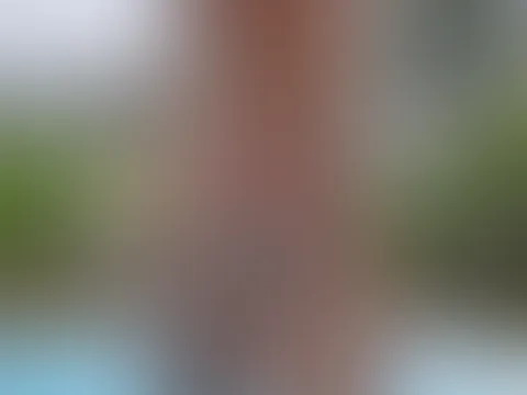 Sunday Video