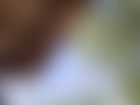 Kommst du mit das wetter genießen?