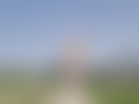 Häschen in freier Wildbahn