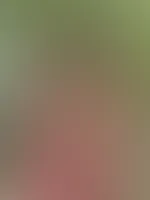 Für dich live vom heutigen Dreh