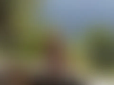 😍😍