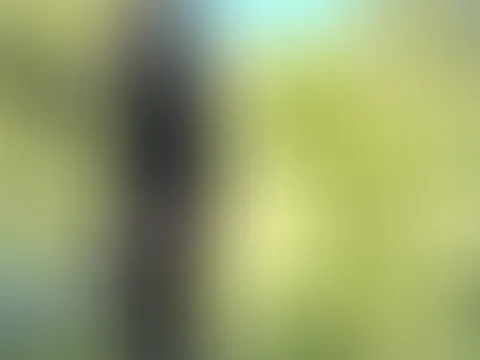 Im transparenten Nylon-Strumpf auf dem Steg und das mitten am Tag…