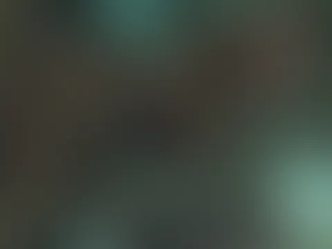 POV Blowjob Clip đ„đ«Š