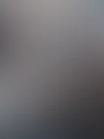 Mein dursichtiges dessou