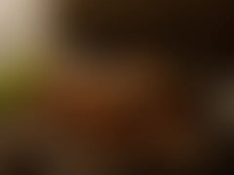 Mein Erstes S*x Video!