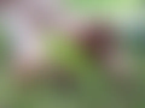 Wetter genießen ☺️ist es dir auch so heiß wie mir ?