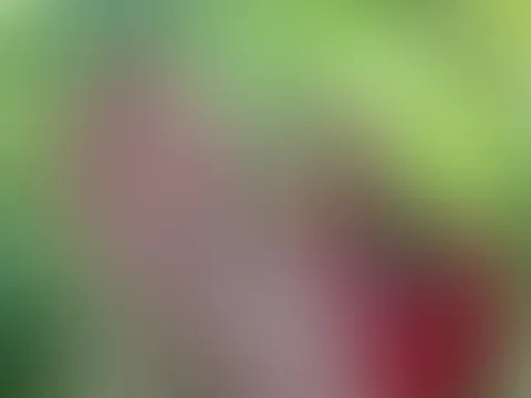 Na was machst du bei der Hitze ? Bist du am genießen schon 😏