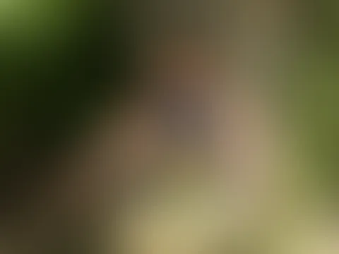Positionswechsel - so viele Möglichkeiten, welche willst du wahrnehmen? Folge mir auf Schritt und Tritt und finde deine Gelegenheit!