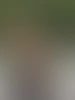 Ihr Lieben 🥰genießt ihr den Samstag auch in der Natur heute?